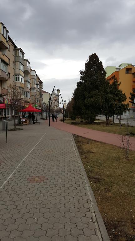 Ferienwohnung La Garson Alba Iulia Exterior foto